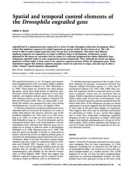 The Drosophila Engrailed Gene
