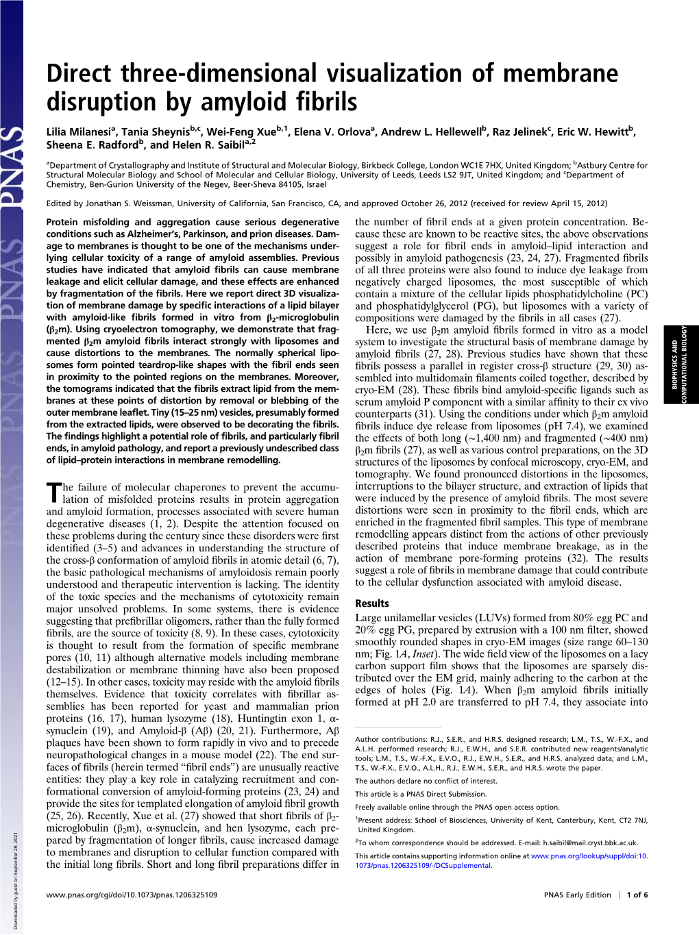 Direct Three-Dimensional Visualization of Membrane Disruption by Amyloid ﬁbrils