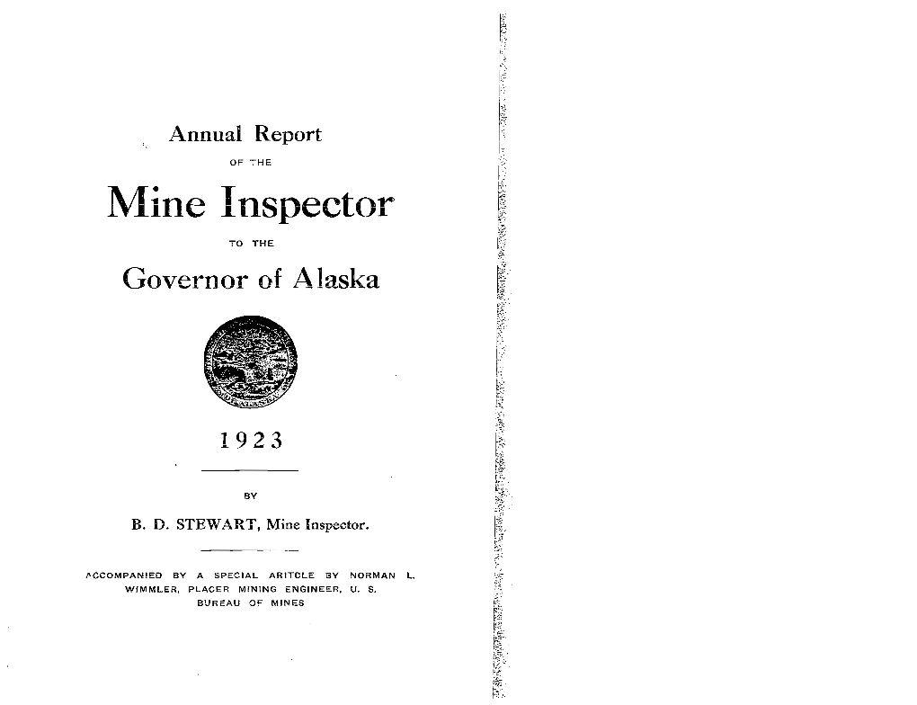 Mine Inspector