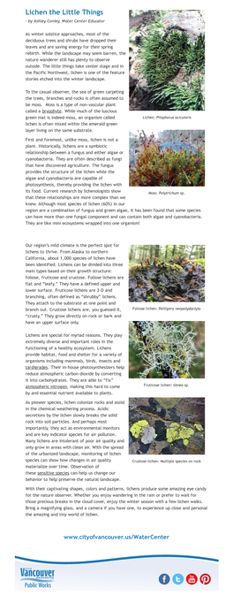 Lichen the Little Things - by Ashley Conley, Water Center Educator