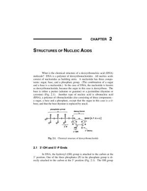 Chapter 2 Structures of Nucleic Acids