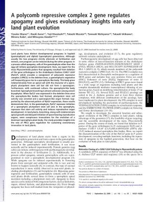 A Polycomb Repressive Complex 2 Gene Regulates Apogamy and Gives Evolutionary Insights Into Early Land Plant Evolution