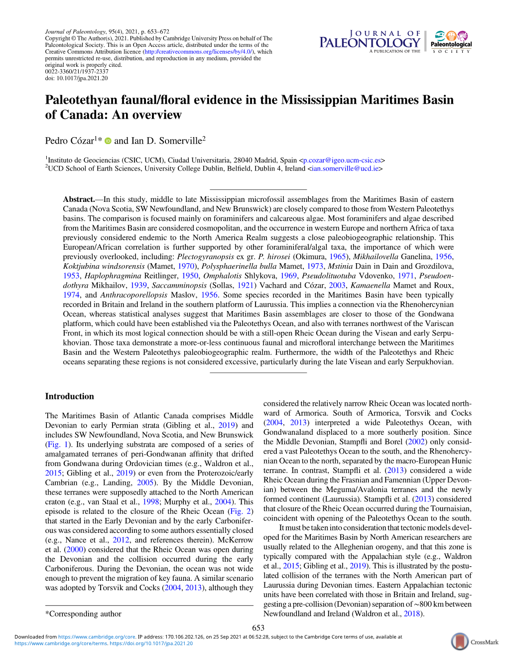 Paleotethyan Faunal/Floral Evidence in the Mississippian Maritimes Basin