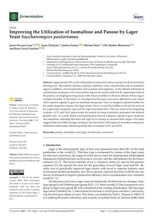 Improving the Utilization of Isomaltose and Panose by Lager Yeast Saccharomyces Pastorianus
