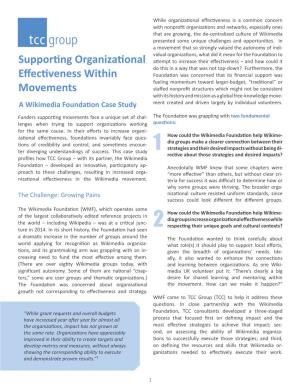 Supporting Organizational Effectiveness Within Movements