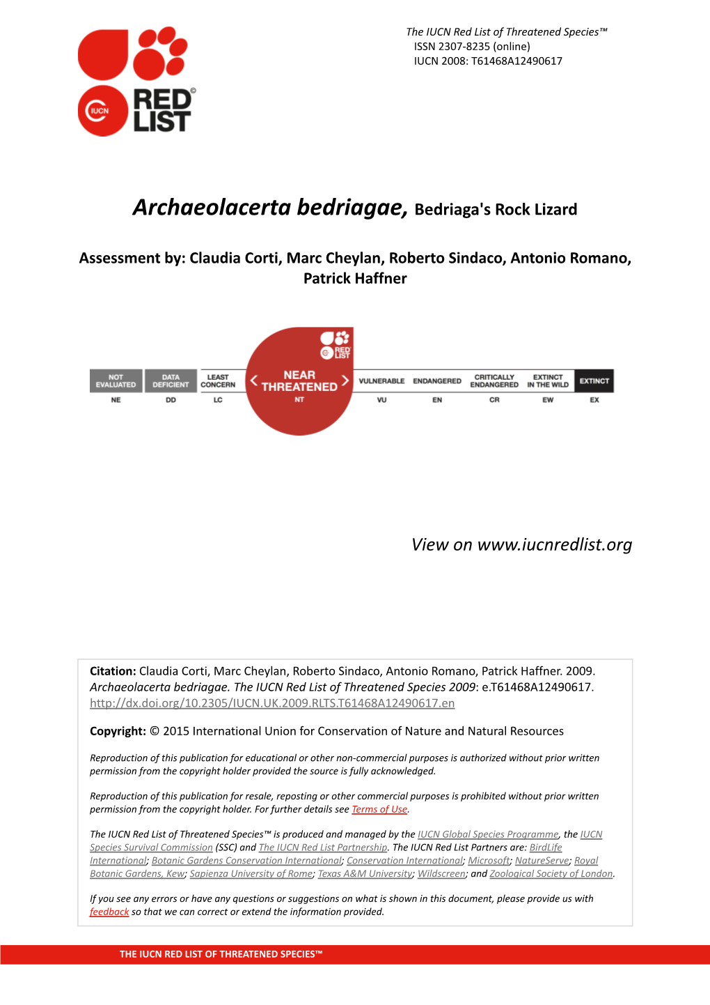 Archaeolacerta Bedriagae, Bedriaga's Rock Lizard