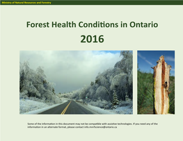 Forest Health Conditions in Ontario 2016
