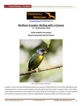Northern Ecuador: Birding with a Camera, November 2018