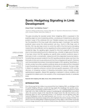 Sonic Hedgehog Signaling in Limb Development