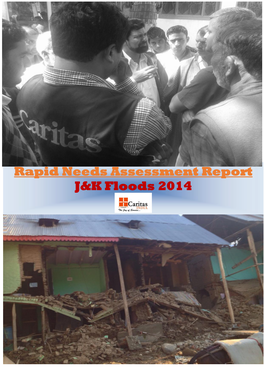 Rapid Needs Assessment Report J&K Floods 2014