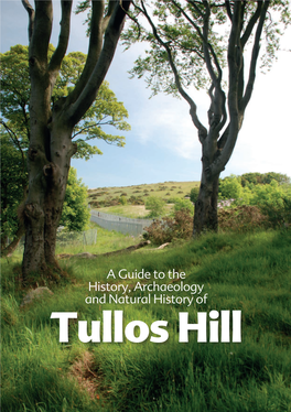 Tullos Hill Archaeology