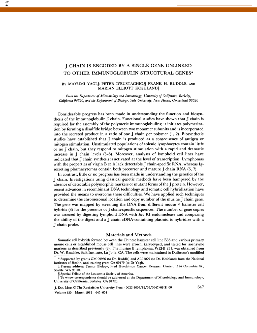 J Chain Is Encoded by a Single Gene Unlinked to Other Immunoglobulin Structural Genes*