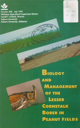 Biology and Management of the Lesser Cornstalk Borer in Peanut Fields