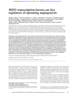 MEF2 Transcription Factors Are Key Regulators of Sprouting Angiogenesis