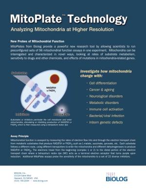 Analyzing Mitochondria at Higher Resolution