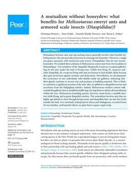 A Mutualism Without Honeydew: What Benefits for Melissotarsus Emeryi Ants and Armored Scale Insects (Diaspididae)?