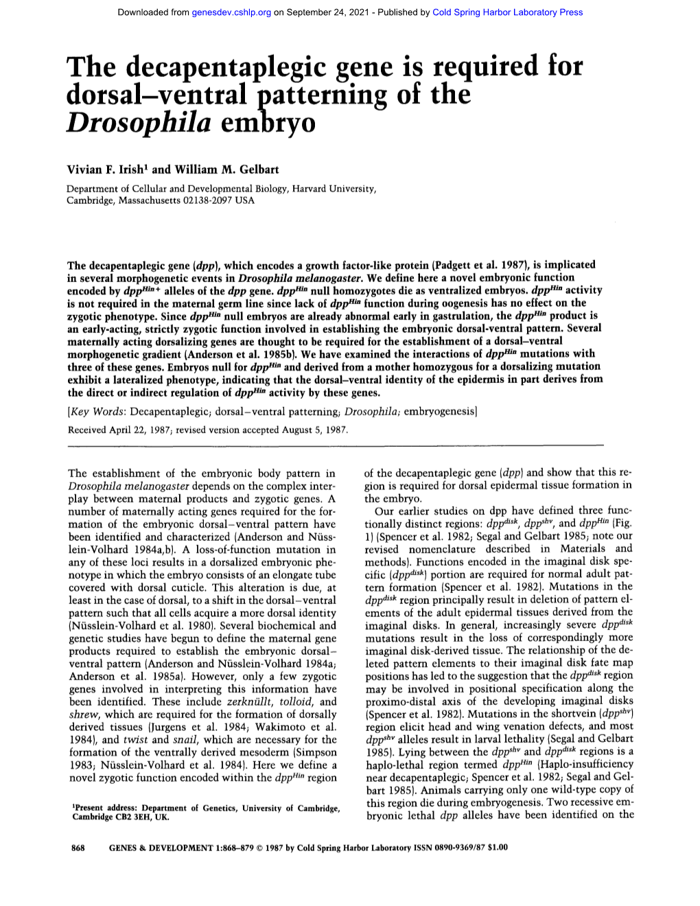 Drosophila Embryo