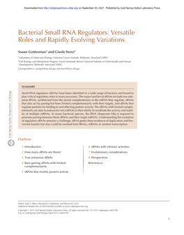 Bacterial Small RNA Regulators: Versatile Roles and Rapidly Evolving Variations