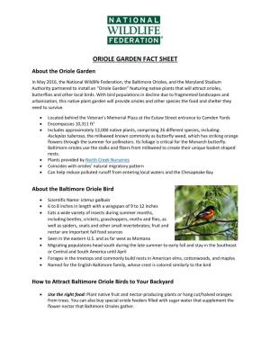 Baltimore Oriole Garden Fact Sheet