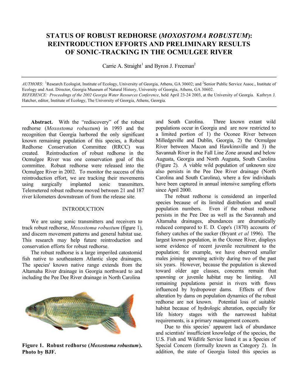 Moxostoma Robustum): Reintroduction Efforts and Preliminary Results of Sonic-Tracking in the Ocmulgee River