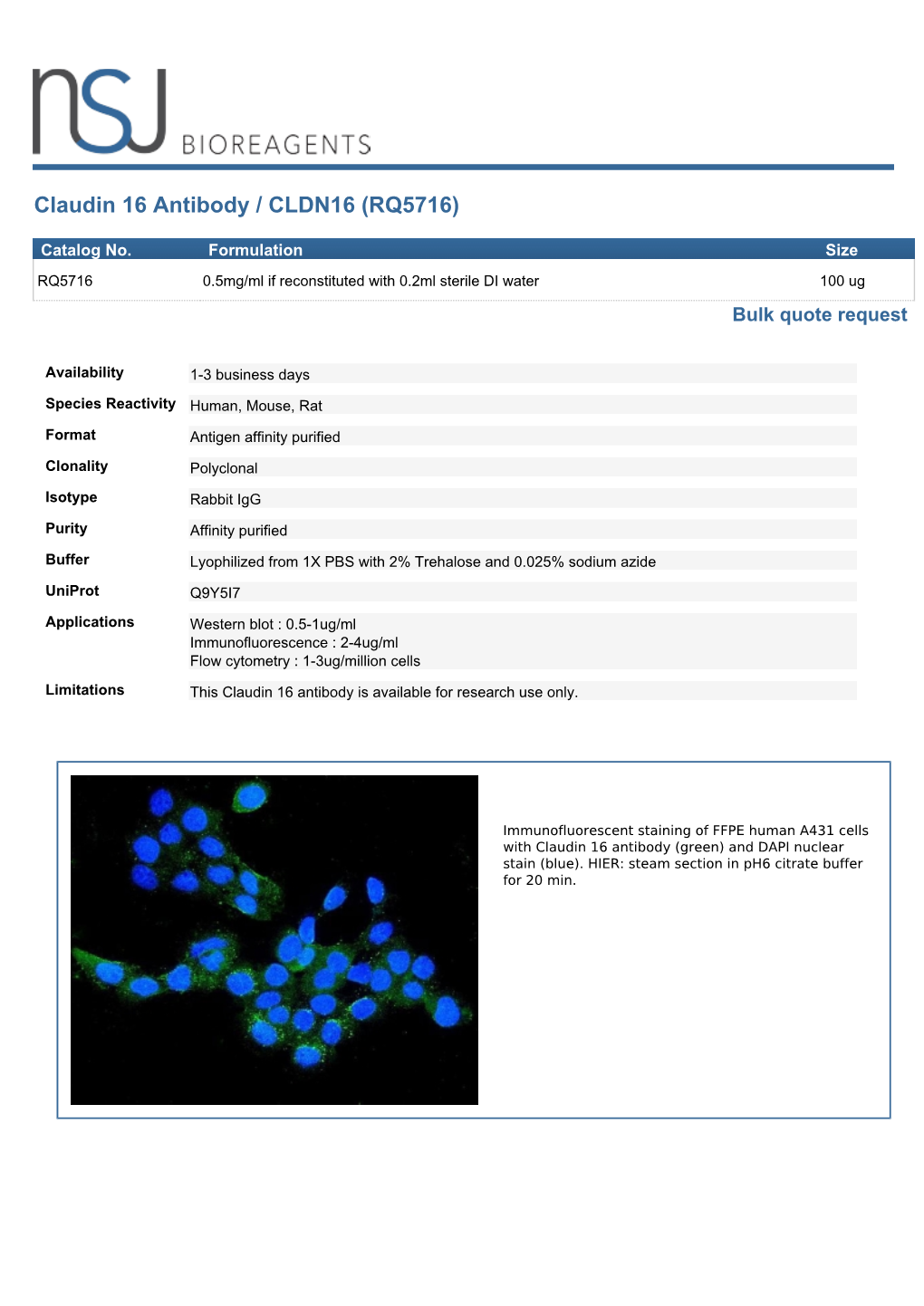 Claudin 16 Antibody / CLDN16 (RQ5716)