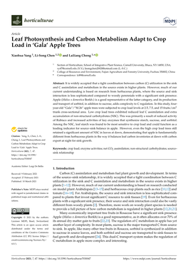 Leaf Photosynthesis and Carbon Metabolism Adapt to Crop Load in ‘Gala’ Apple Trees