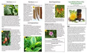 Medicinal Plant Brochure