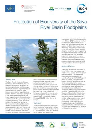 Sava River Basin Project