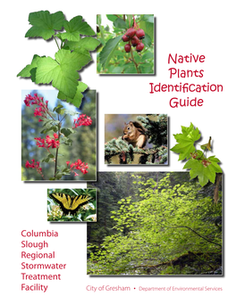 Native Plants Identification Guide