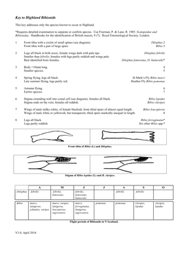 Key to Highland Bibionids