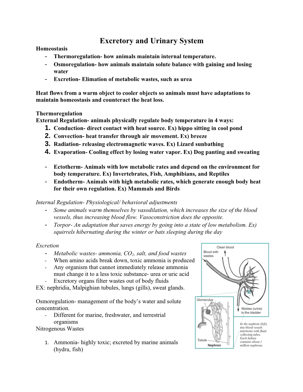 Excretory and Urinary System