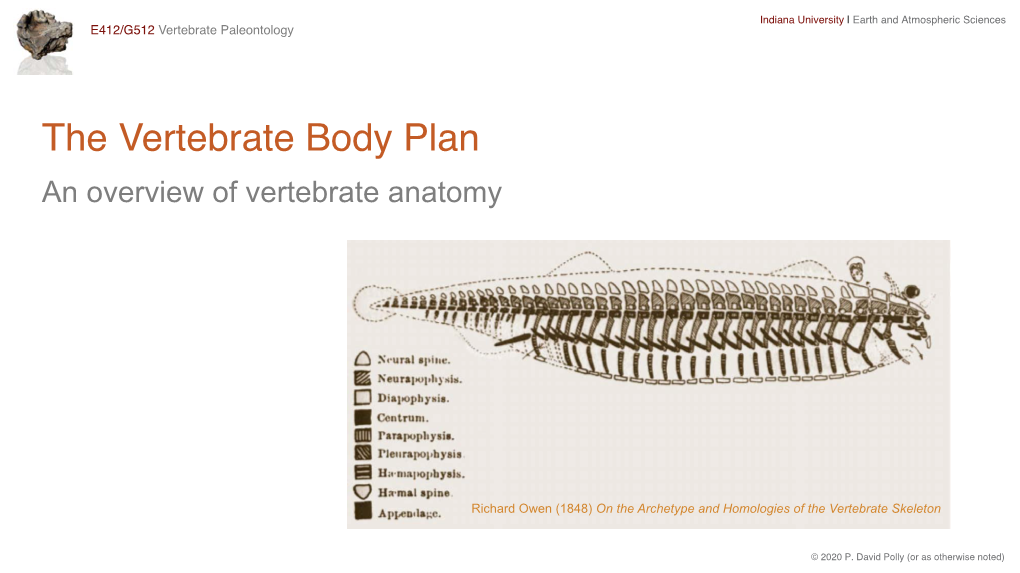 The Vertebrate Body Plan an Overview of Vertebrate Anatomy