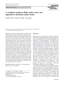 A Centipede Nymph in Baltic Amber and a New Approach to Document Amber Fossils