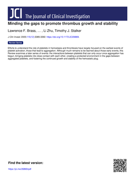 Minding the Gaps to Promote Thrombus Growth and Stability