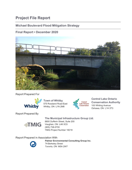 Michael Boulevard Flood Mitigation Strategy