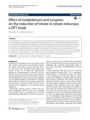 Effect of Molybdenum and Tungsten on the Reduction of Nitrate in Nitrate