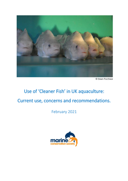 Cleaner Fish’ in UK Aquaculture: Current Use, Concerns and Recommendations