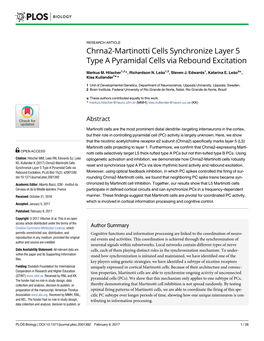 Chrna2-Martinotti Cells Synchronize Layer 5 Type a Pyramidal Cells Via Rebound Excitation