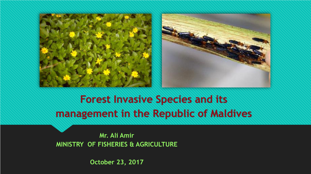 Forest Invasive Species and Its Management in the Republic of Maldives