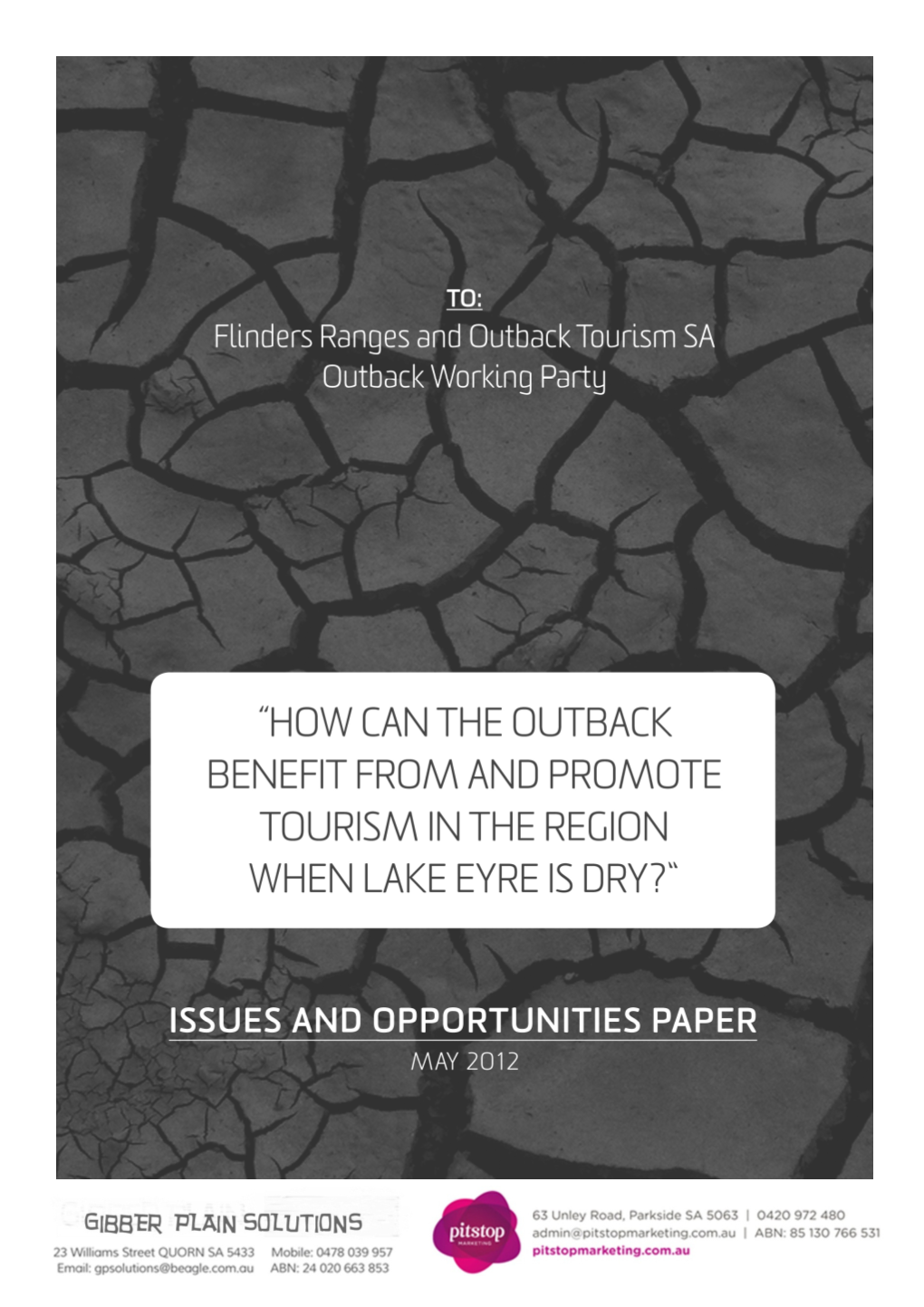 Dry Lake Eyre Issues and Opportunities Paper 2012