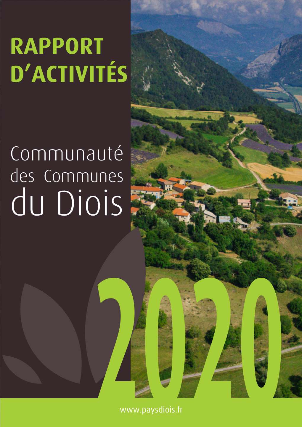 Rapport D'activités