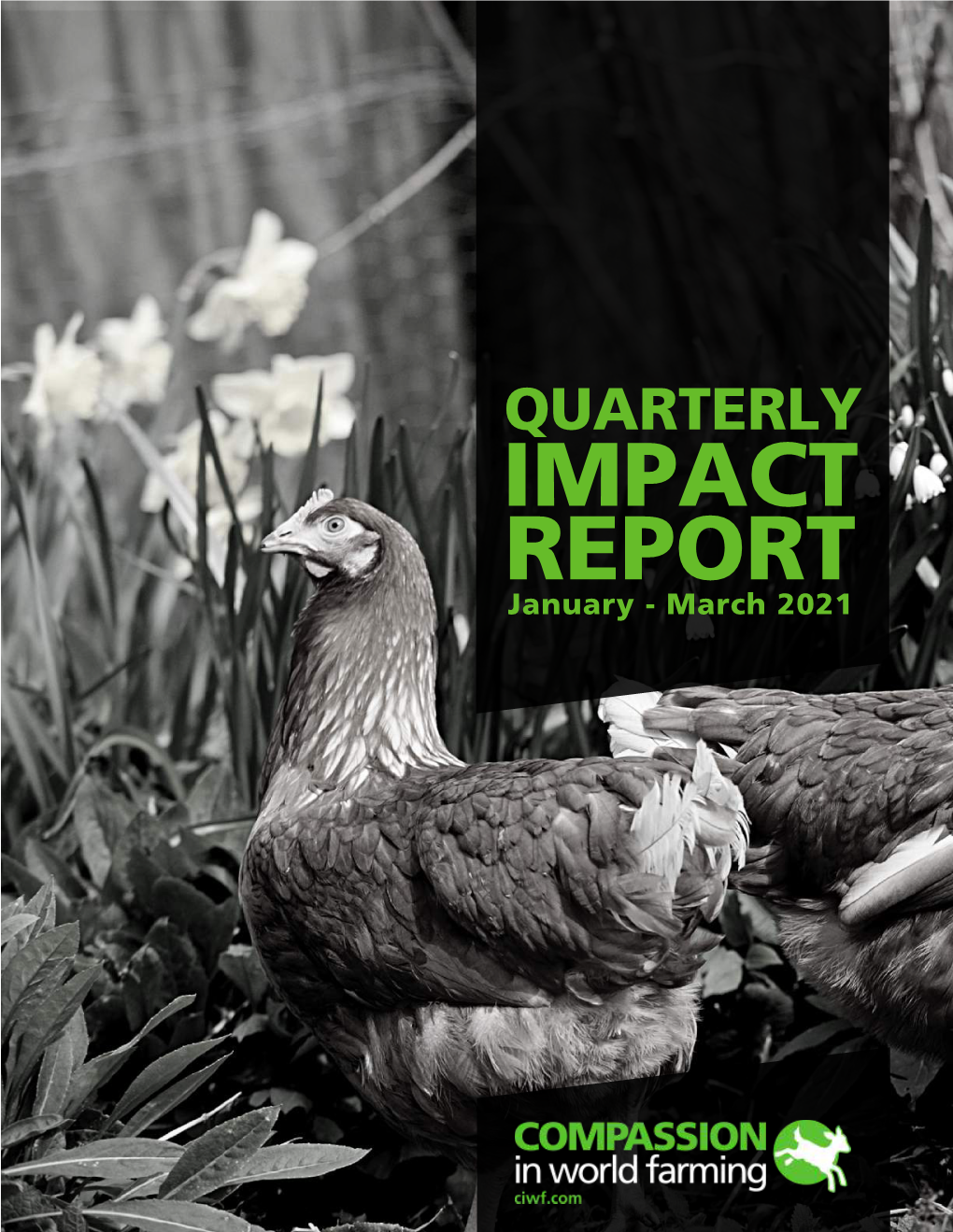 Q4 Impact Report 2021