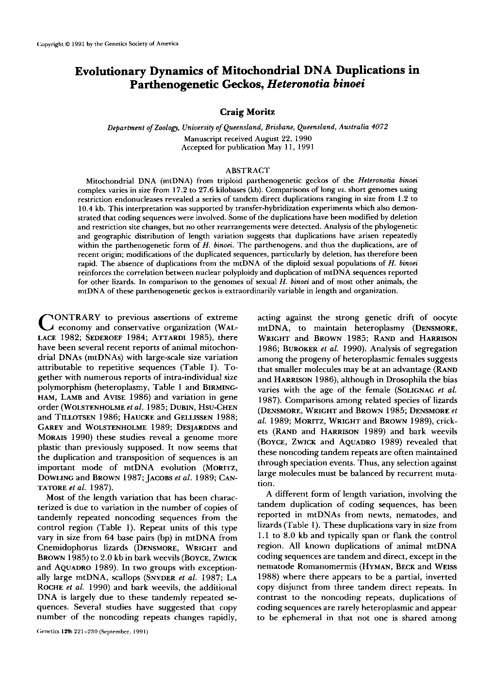 Evolutionary Dynamics of Mitochondrial DNA Duplications in Parthenogenetic Geckos, Heteronotia Binoei