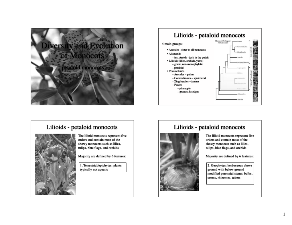 Diversity and Evolution of Monocots