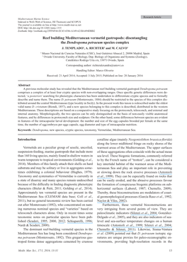 Reef Building Mediterranean Vermetid Gastropods: Disentangling the Dendropoma Petraeum Species Complex J