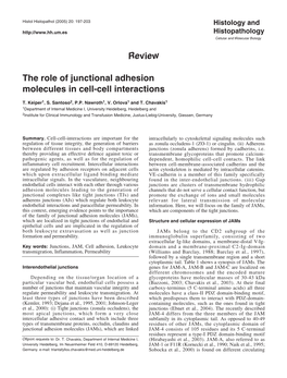 Review the Role of Junctional Adhesion Molecules in Cell-Cell