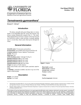 Ternstroemia Gymnanthera1