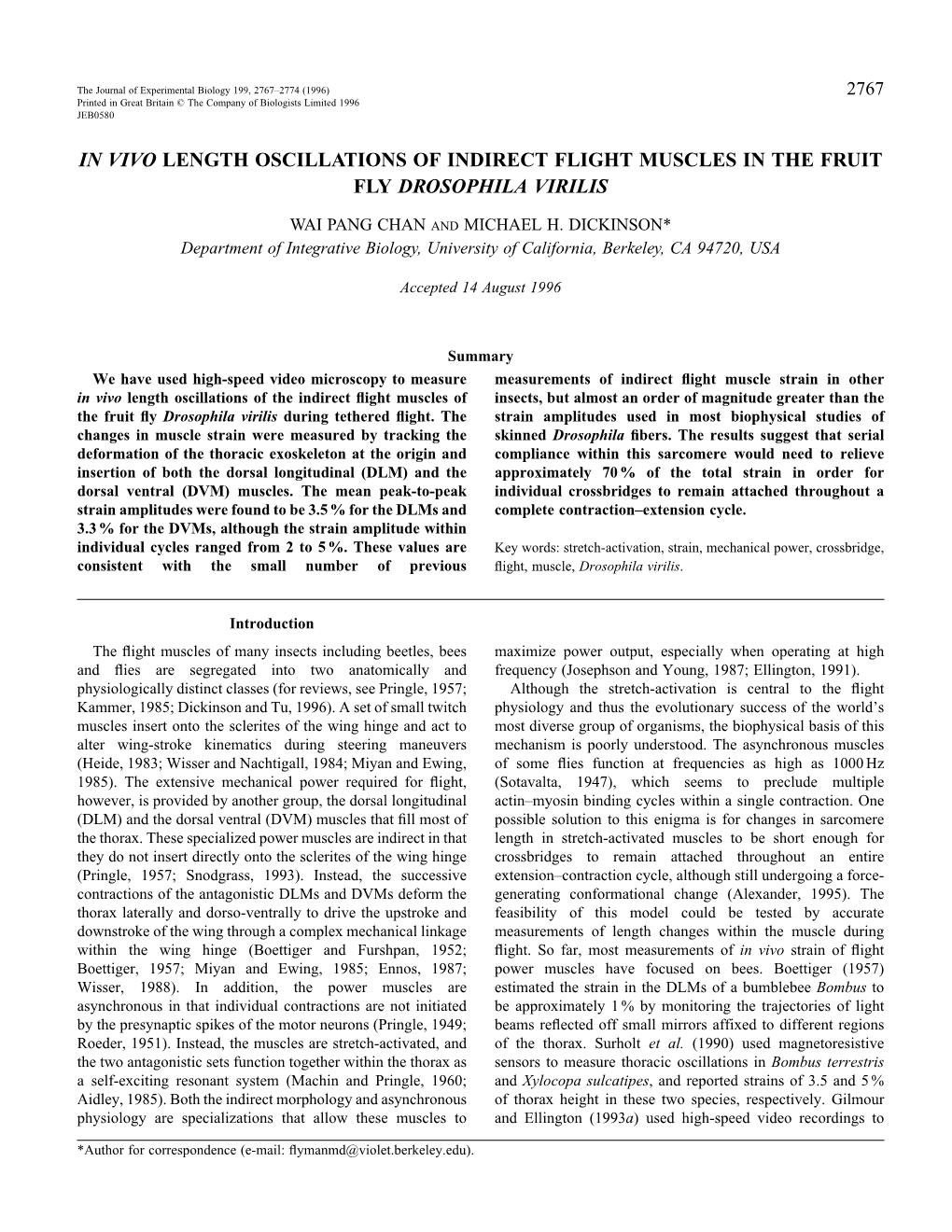 In Vivo Length Oscillations of Indirect Flight Muscles in the Fruit Fly Drosophila Virilis