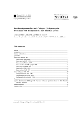 Zootaxa: Revision of Genera Gaza and Callogaza (Vetigastropoda