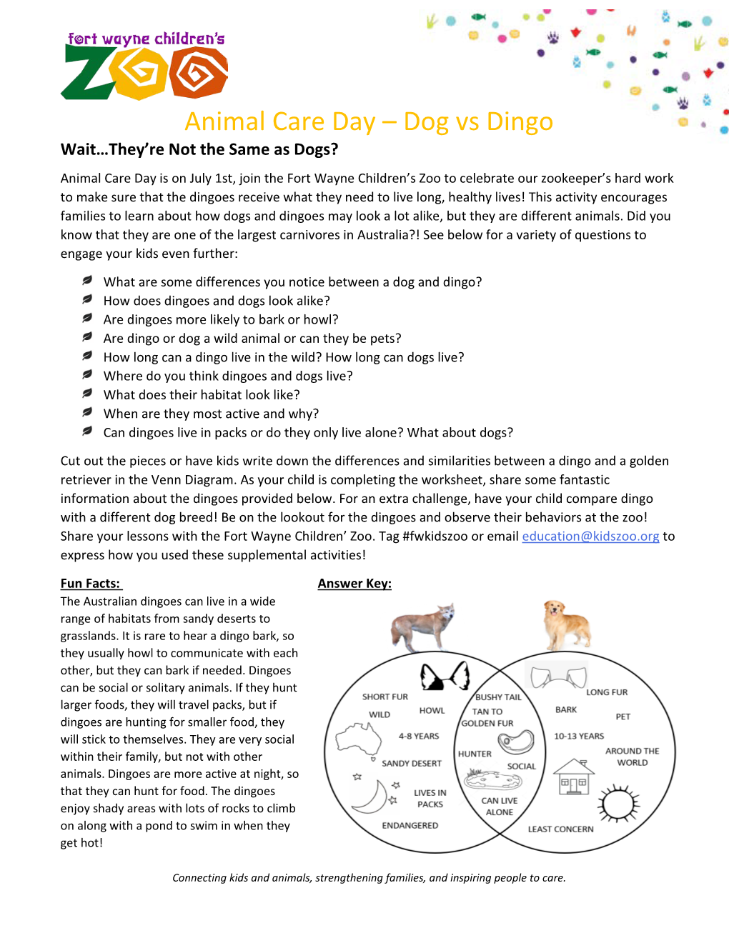 Animal Care Day – Dog Vs Dingo